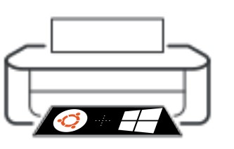 Windows?!